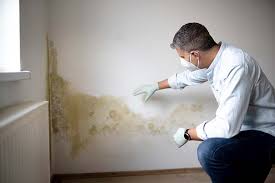  Ata, OK Mold Inspection Pros